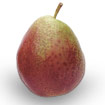 A Forelle Pear