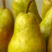 A French Butter Pear